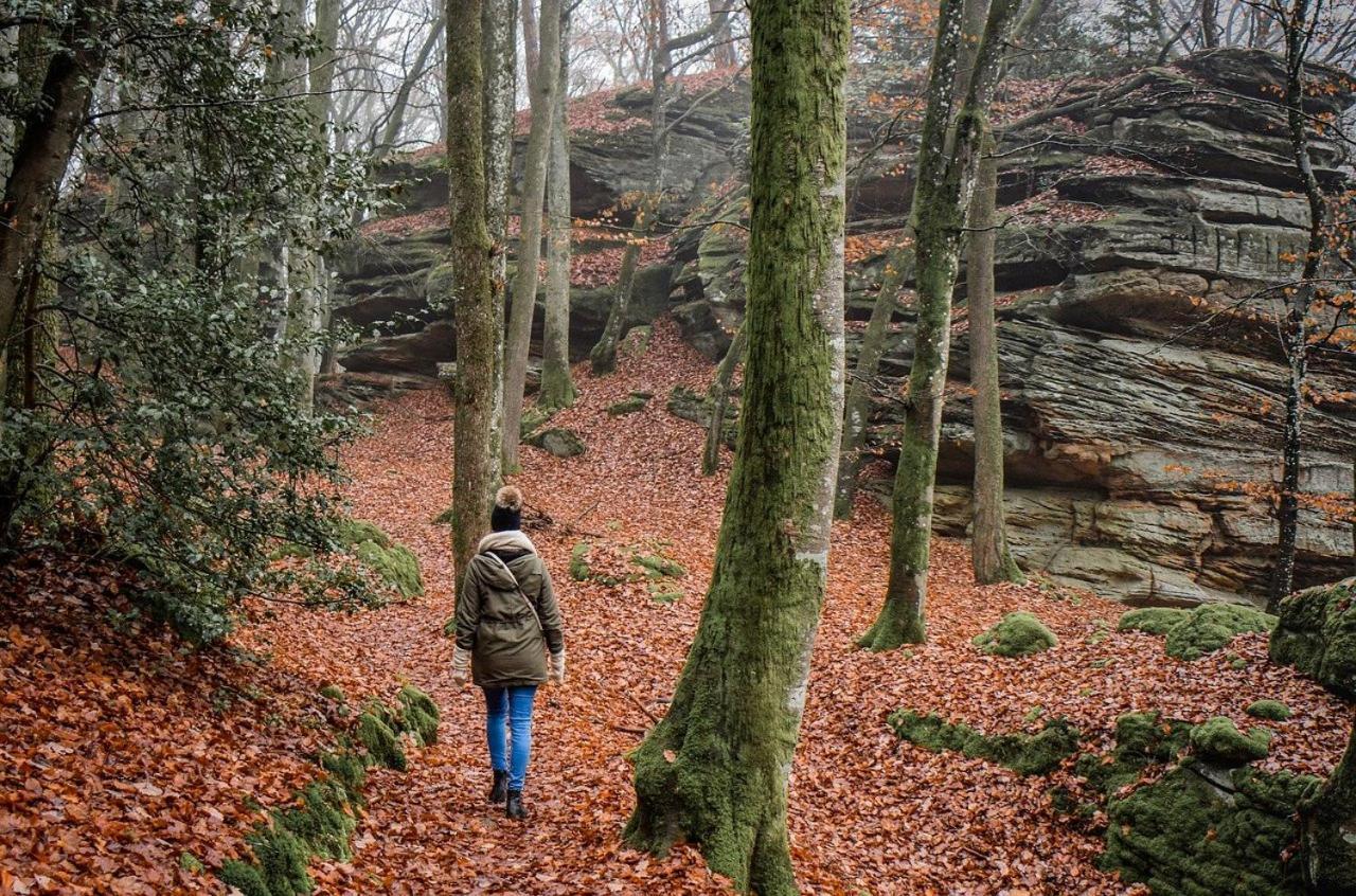 Gasthof Zur Burgruine Pottenstein Dış mekan fotoğraf
